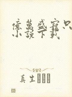 亿万盛宠只为你小说下载