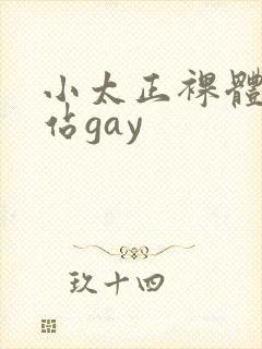 小太正裸体黄网站gay