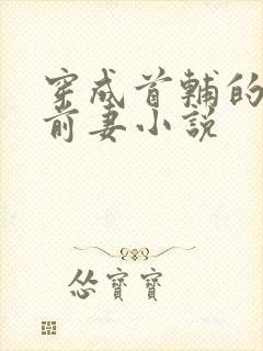 穿成首辅的炮灰前妻小说