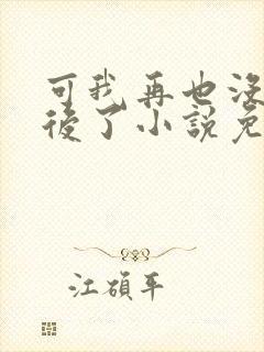 可我再也没有以后了小说免费阅读封面