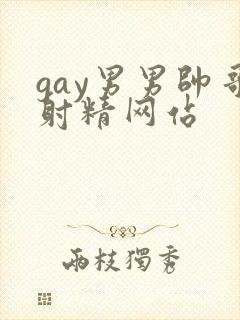 gay男男帅哥射精网站