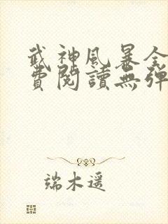 武神风暴全文免费阅读无弹窗笔趣阁