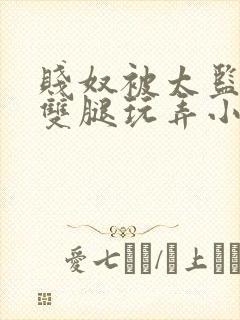 贱奴被太监扒开双腿玩弄小说