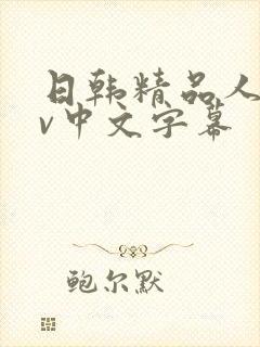 日韩精品人妻av中文字幕