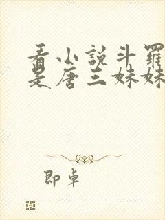 看小说斗罗:我是唐三妹妹