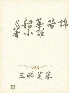 《韶华若锦》原著小说封面