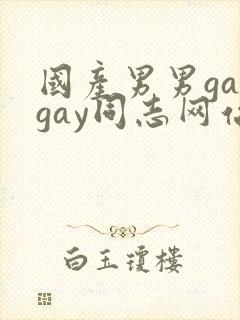 国产男男gaygay同志网站