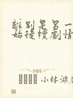 离别是另一种开始后续剧情