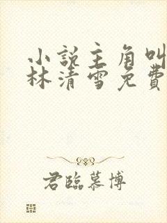 小说主角叫楚阳林清雪免费阅读无弹窗