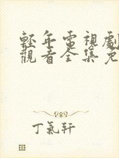 轻年电视剧在线观看全集免费28