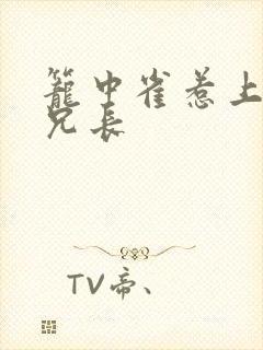 笼中雀惹上偏执兄长