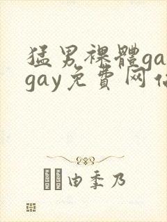 猛男裸体gaygay免费网站