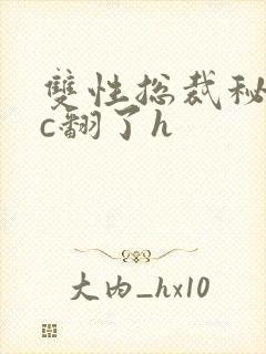 双性总裁秘书被c翻了h封面