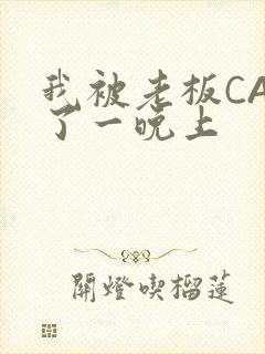 我被老板CAO了一晚上