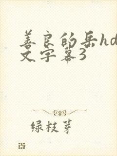 善良的岳hd中文字幕3封面