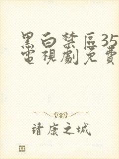 黑白禁区35集电视剧免费观看