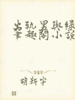 出轨男与绿帽女笔趣阁小说封面