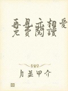 再见亦相爱小说免费阅读