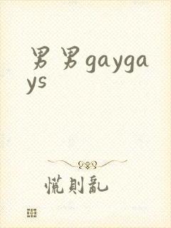 男男gaygays