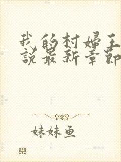 我的村妇王芳小说最新章节更新时间封面
