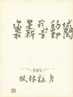 你是我的城小说最新章节阅读全文封面