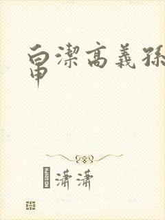 白洁高义孙倩王申封面