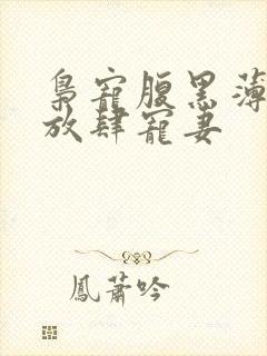 枭宠腹黑薄少,放肆宠妻