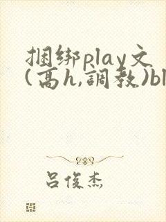 捆绑play文(高h,调教)bl