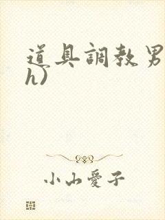 道具调教男男(h)