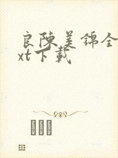 良陈美锦全文txt下载