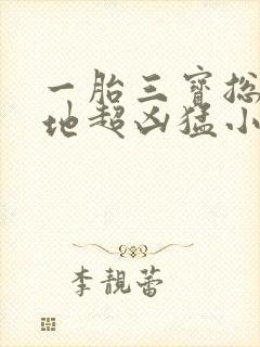 一胎三宝总裁爹地超凶猛小说免费阅读