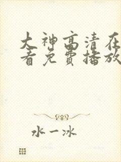 大神高清在线观看免费播放电视剧