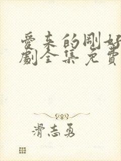 爱来的刚好电视剧全集免费观看完整版