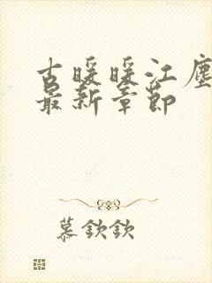 古暖暖江尘御 最新章节封面