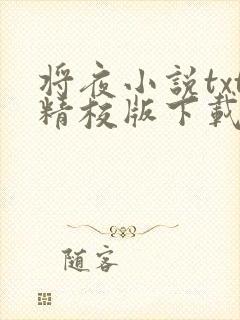 将夜小说txt精校版下载