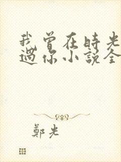 我曾在时光里听过你小说全文免费阅读封面