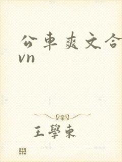 公车爽文合集1vn