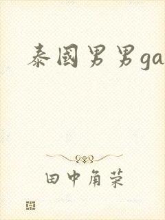 泰国男男gay封面