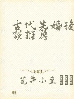 古代先婚后爱小说推荐封面