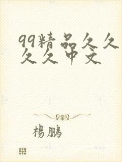 99精品久久久久久中文
