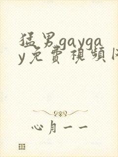 猛男gaygay免费视频网站