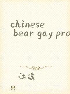 chinese bear gay pron
