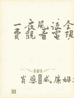 一夜风流全集免费观看电视剧西瓜