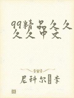 99精品久久久久久中文
