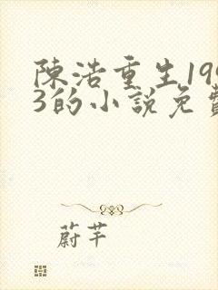 陈浩重生1993的小说免费阅读封面