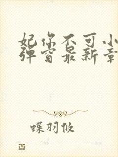 妃你不可小说无弹窗最新章节