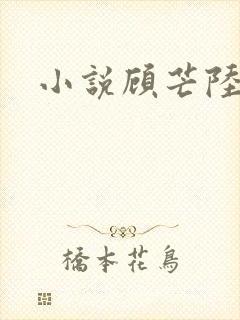 小说顾芒陆承洲封面