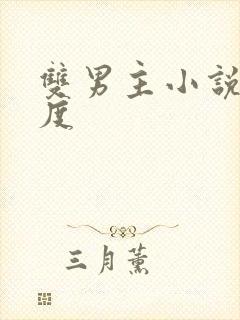 双男主小说大尺度