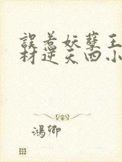 误惹妖孽王爷废材逆天四小姐 小说封面