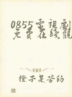 0855电视剧免费在线观看粤语